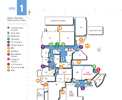 Stollery 1rst Floor Map