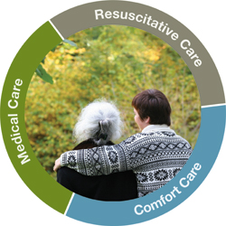 Circle of care