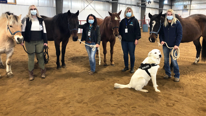 The Lethbridge Therapeutic Riding Association and others have partnered with Alberta Health Services therapy aide Hannah Yunick, left, recreation therapists Heidi Davis and Brandy Tonin, and program coordinator Eilish Short, to create the Equine Wellness Connection. Joining in the photo op are Arlo the dog and his equestrian pals Toby, Scooter, King and Princess.