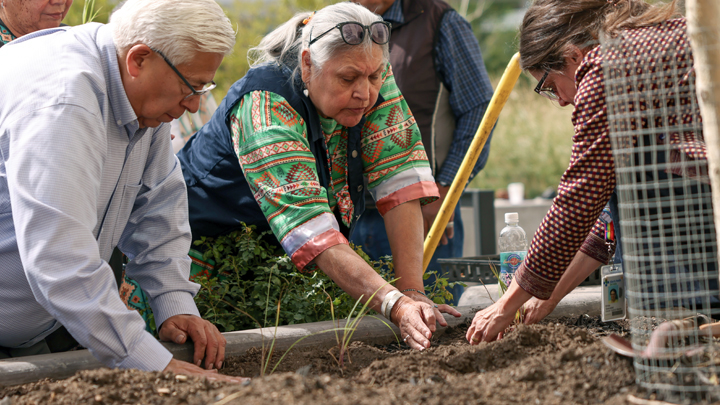 Members of Indigenous communities take time to plant sage, tobacco and sweetgrass at the new Arthur J.E. Child Comprehensive Cancer Centre in Calgary.